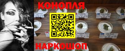 прущие грибы Апшеронск
