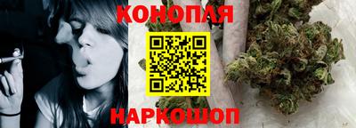 прущие грибы Апшеронск
