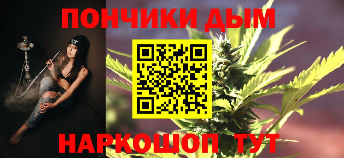 Канабис планчик Баксан